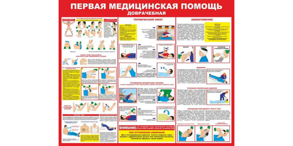Стенд-2 "Первая медицинская помощь"