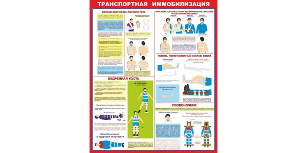 Стенд "Транспортная имобилизация"