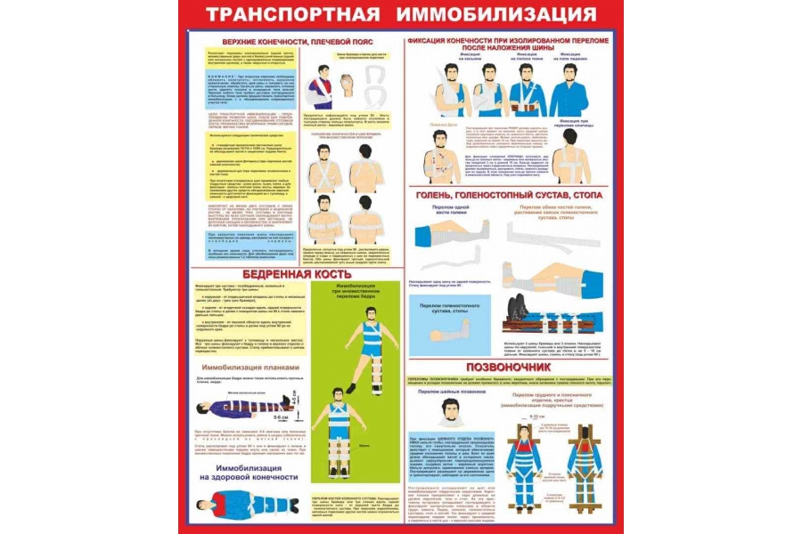 Стенд "Транспортная имобилизация"