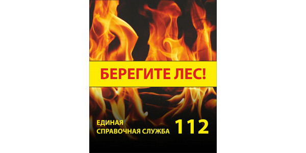 Стенд "Берегите лес"