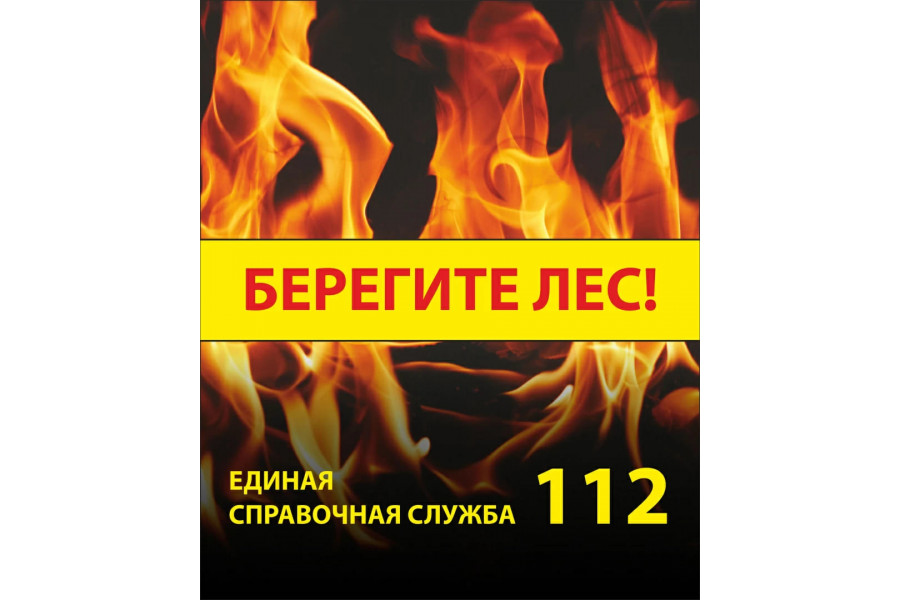 Стенд "Берегите лес"