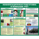 Стенд "Мобилизационная подготовка и воинский учет"