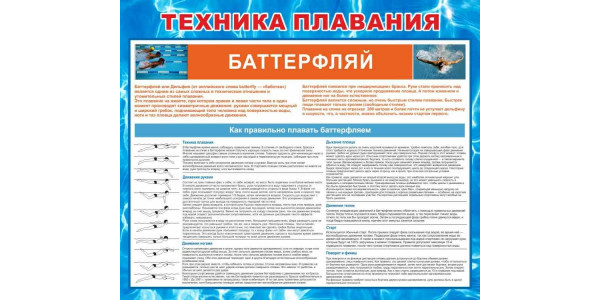 Стенд "Техника плавания баттерфляем"