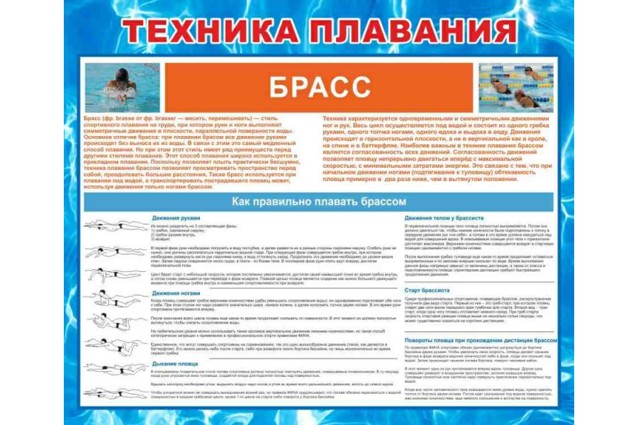 Стенд "Техника плавания брассом"
