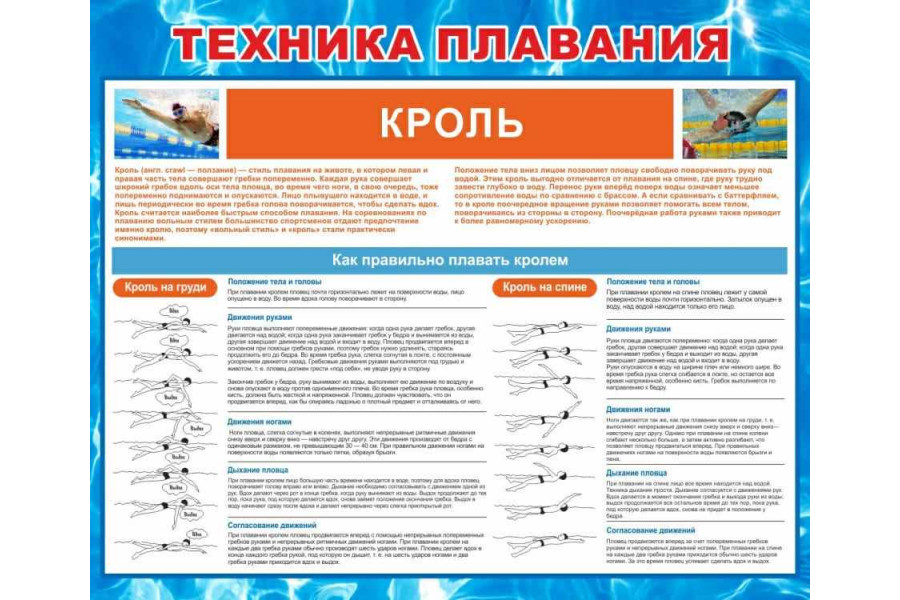 Стенд "Техника плавания кролем"