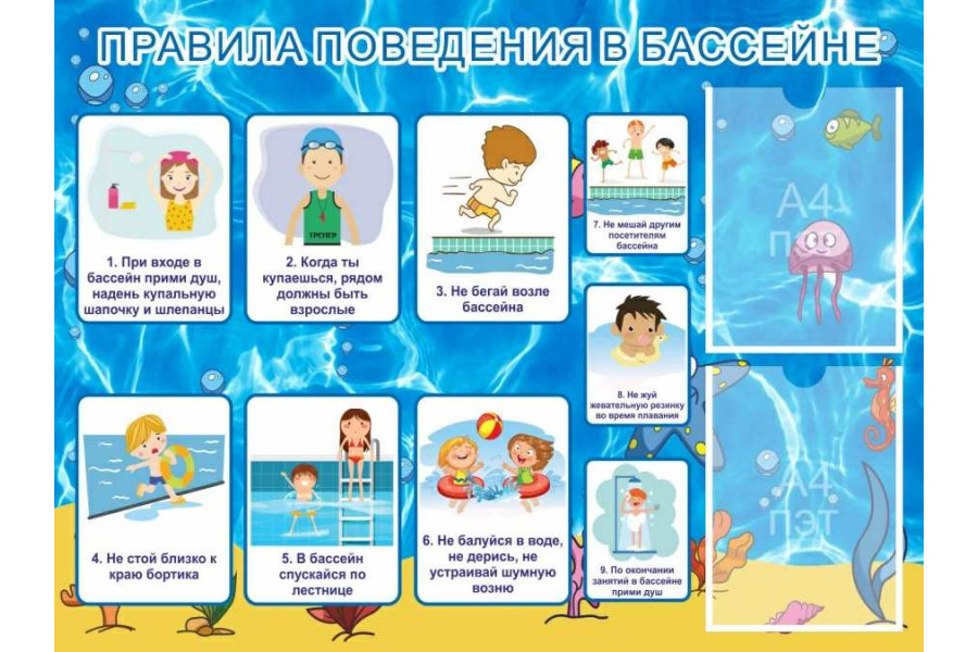 Стенд "Правила поведения в бассейне" с карманами